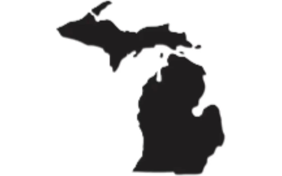 Loy-Michigan-FI